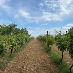ヴィラ Cascina Coccione