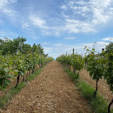 Villa Cascina Coccione